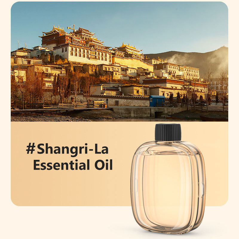 2026 HOT SALE🥳Freshen Any Room Instantly! No-Cord Timed Aroma Diffuser